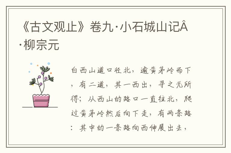 《古文观止》卷九·小石城山记·柳宗元